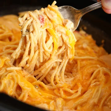 Ultimate Chicken Spaghetti Recipe
