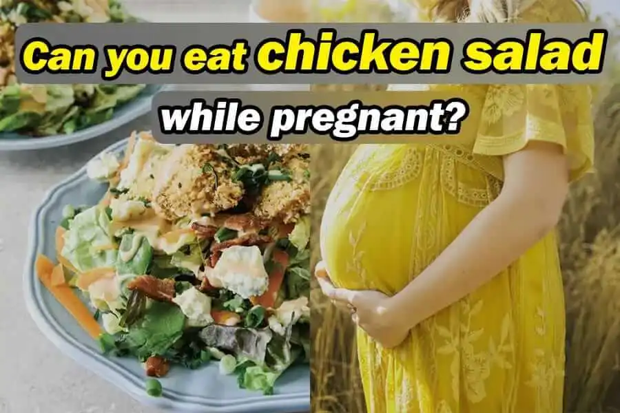 Can You Eat Chicken Salad While Pregnant?
