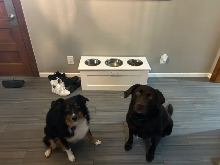 Using a 3 Bowl Elevated Dog Feeder to Improve Mealtime 